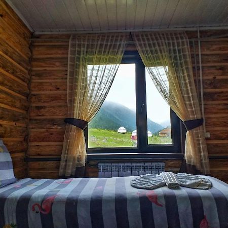 Altyn Arashan Guesthouse ภายนอก รูปภาพ